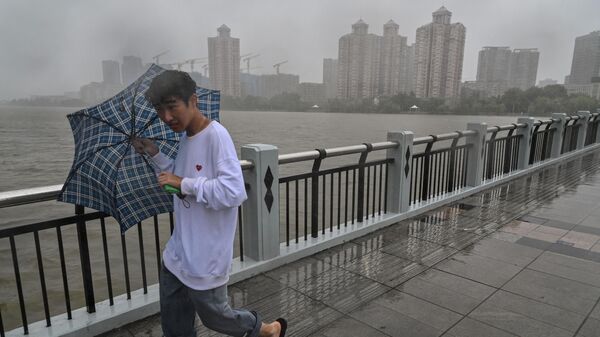 中国再启城市青年下乡返乡 - 俄罗斯卫星通讯社