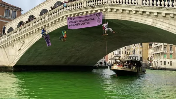 生态活动人士将威尼斯大运河涂成绿色 - 俄罗斯卫星通讯社
