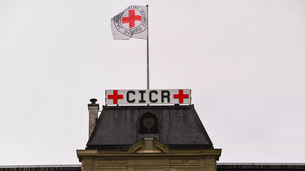 美国人凯特·福布斯当选国际红十字与红新月运动主席 - 俄罗斯卫星通讯社