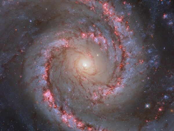 圖為螺旋星系NGC 1566，有時被非正式地稱為“西班牙舞者星系”。 - 俄羅斯衛星通訊社