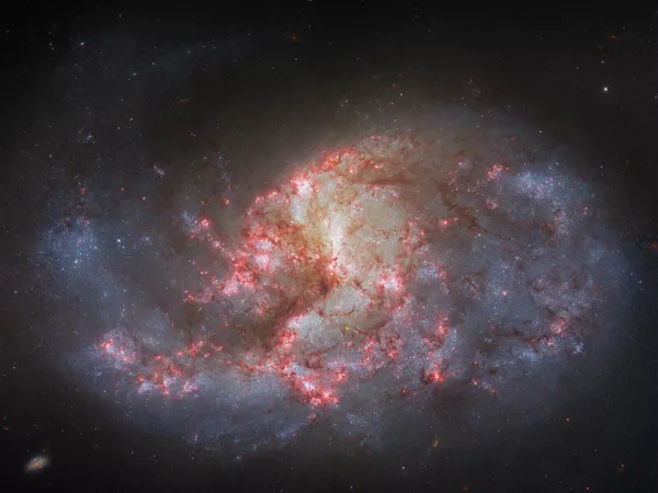 这个由恒星和尘埃组成的发光团就是棒旋星系 NGC 1385，距离地球约 3000 万光年。 - 俄罗斯卫星通讯社