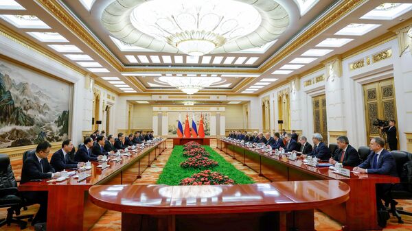 中俄總理第二十八次定期會晤 - 俄羅斯衛星通訊社