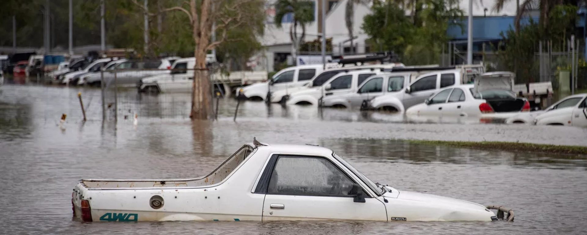 澳大利亞風暴造成十多萬所房屋斷電致一人死亡 - 俄羅斯衛星通訊社, 1920, 26.12.2023