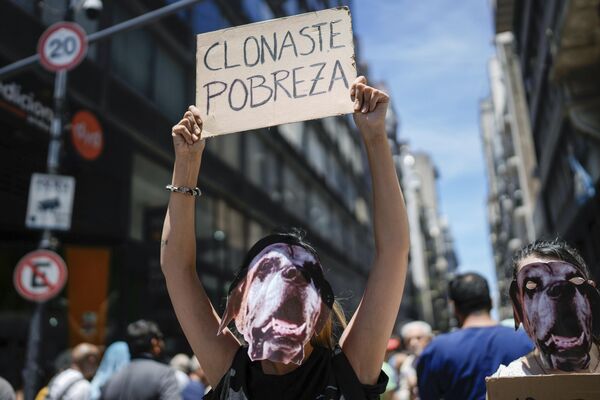 阿根廷，在布宜诺斯艾利斯最高法院外举行的反对哈维尔·米莱总统的经济改革的集会上，一名戴着狗面具的抗议者举着“你们克隆了贫穷”的牌子。 - 俄罗斯卫星通讯社