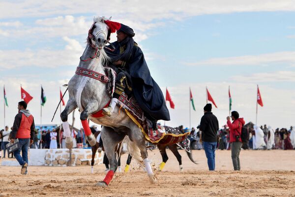 突尼斯，身著傳統服裝的藝人在國際撒哈拉節期間騎馬。 - 俄羅斯衛星通訊社