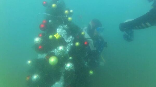 两米高的新年枞树被放置在克里米亚岸边的黑海海底 - 俄罗斯卫星通讯社