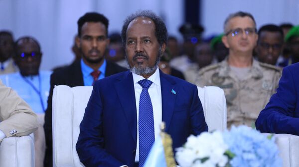 媒體：索馬里總統簽署法律“取消”索馬里蘭和埃塞俄比亞的港口協定 - 俄羅斯衛星通訊社