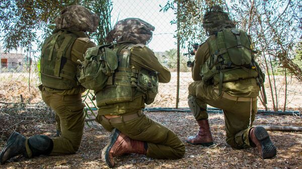 美媒：以色列部分军事指挥官怀疑在加沙地带的行动目标能否实现