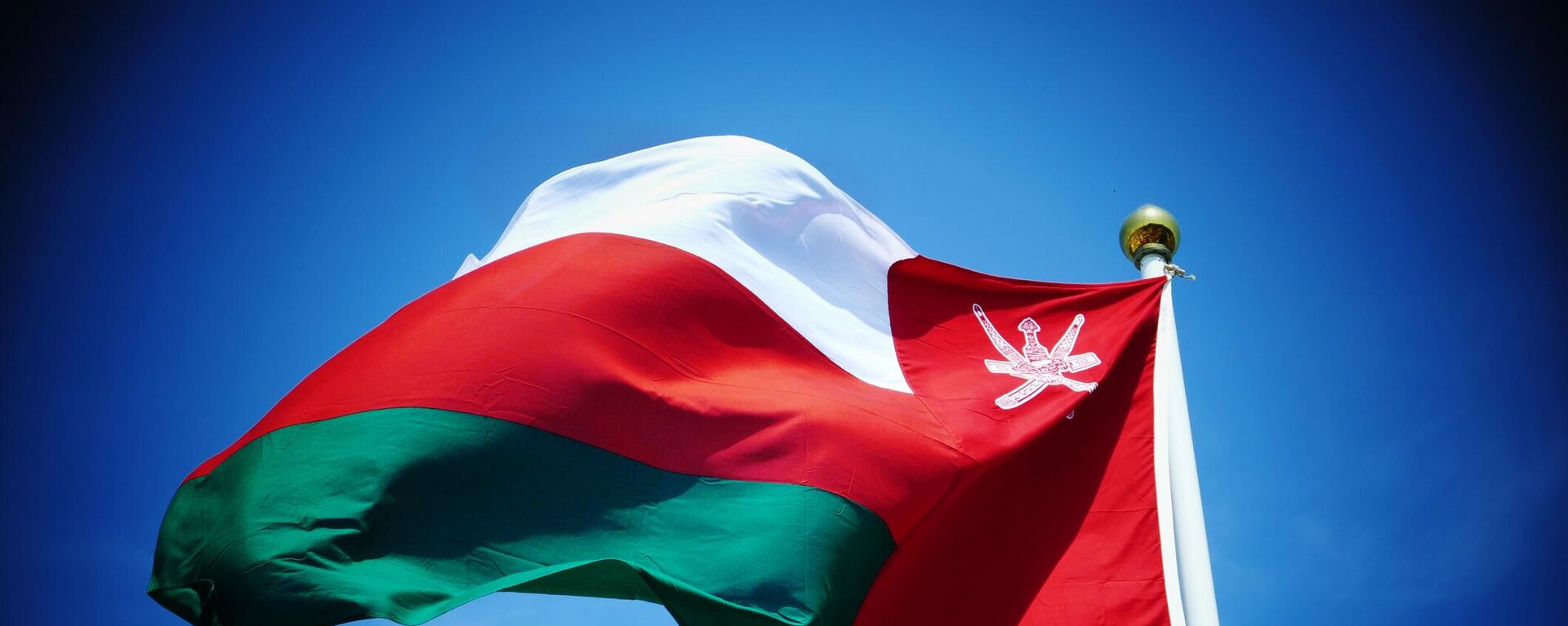 Государственный флаг Султаната Оман - 俄罗斯卫星通讯社, 1920, 11.01.2024