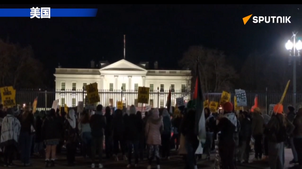 美国打击也门引发数十名积极分子在白宫前抗议 - 俄罗斯卫星通讯社