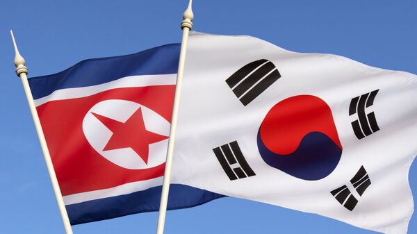 朝鮮祖國統一民主主義戰線中央委員會正式解散 - 俄羅斯衛星通訊社