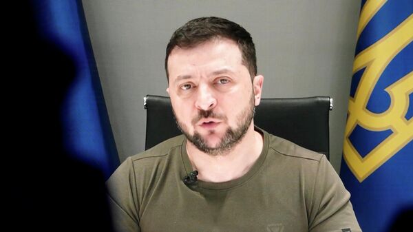 土媒：澤連斯基受到特朗普施壓後決定躲在埃爾多安的“保護傘”下 - 俄羅斯衛星通訊社