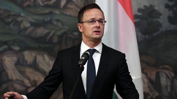 匈外长：匈牙利不会支持触及能源，核工业与欧盟对外关系的制裁 - 俄罗斯卫星通讯社