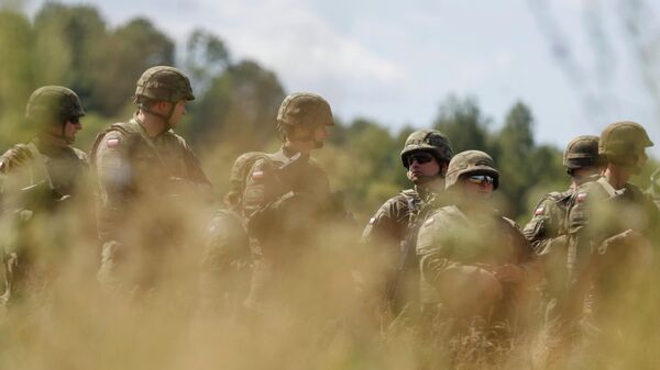 波蘭防長：波蘭軍隊已成為北約第三大軍隊 - 俄羅斯衛星通訊社