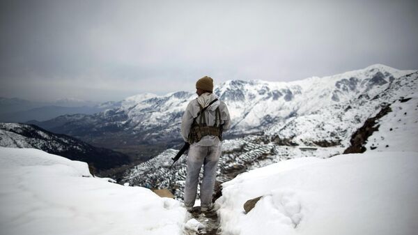 前黎巴嫩外长：北约无法独立于美国行动 - 俄罗斯卫星通讯社