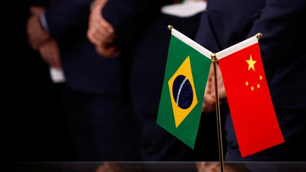 中国巴西举行第四次外长级全面战略对话：中巴关系日益展现超越双边范畴的全球性影响 - 俄罗斯卫星通讯社