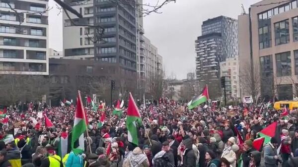 比利時示威者由於加沙問題要求對以色列採取緊急措施 - 俄羅斯衛星通訊社