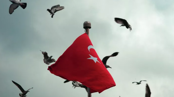 土耳其拘留近30名参与“伊斯兰国”活动的嫌疑人