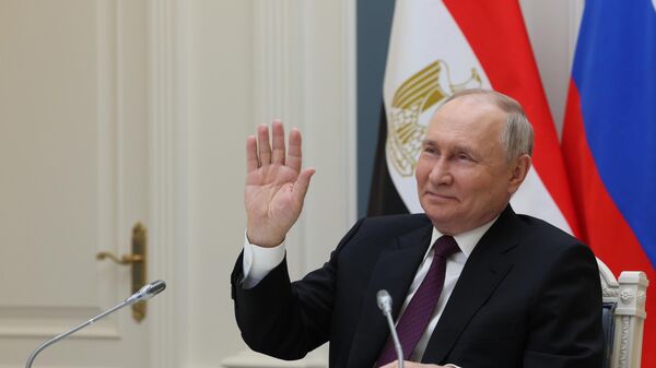 普京：去年俄罗斯与埃及贸易额增加超三分之一 - 俄罗斯卫星通讯社