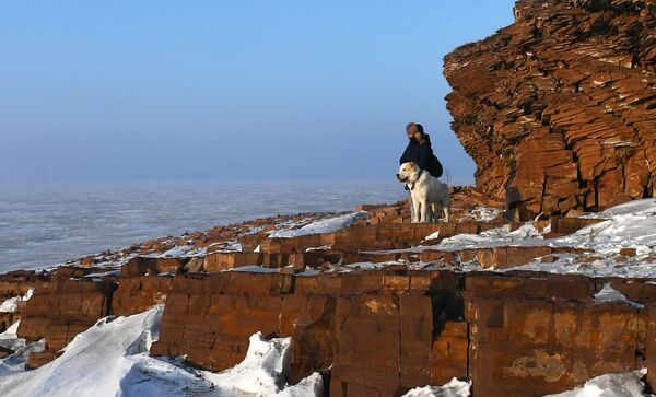 在克拉斯諾亞爾斯克州新索洛夫斯基區阿納什定居點附近的葉尼塞河沿岸散步時，一名女性帶著她的中亞牧羊犬。 - 俄羅斯衛星通訊社