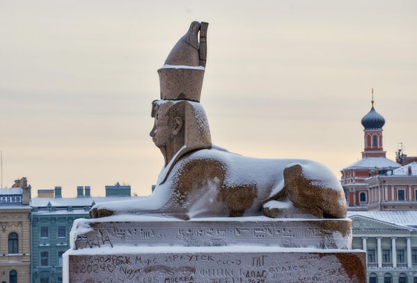 圣彼得堡大学堤坝上修复的埃及狮身人面像。 - 俄罗斯卫星通讯社