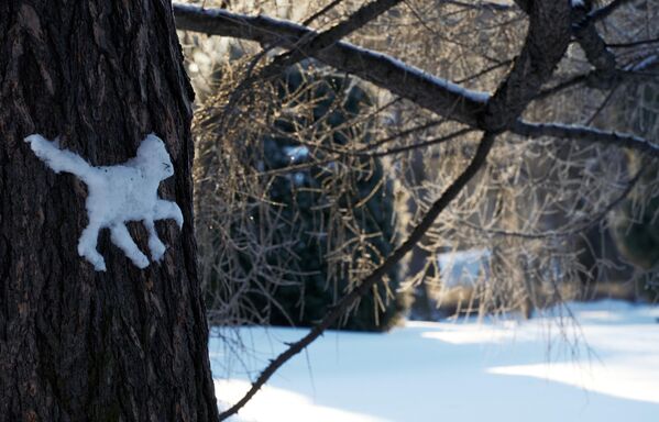 聖彼得堡基洛夫中央文化娛樂公園樹幹上一隻用雪做成的貓。 - 俄羅斯衛星通訊社