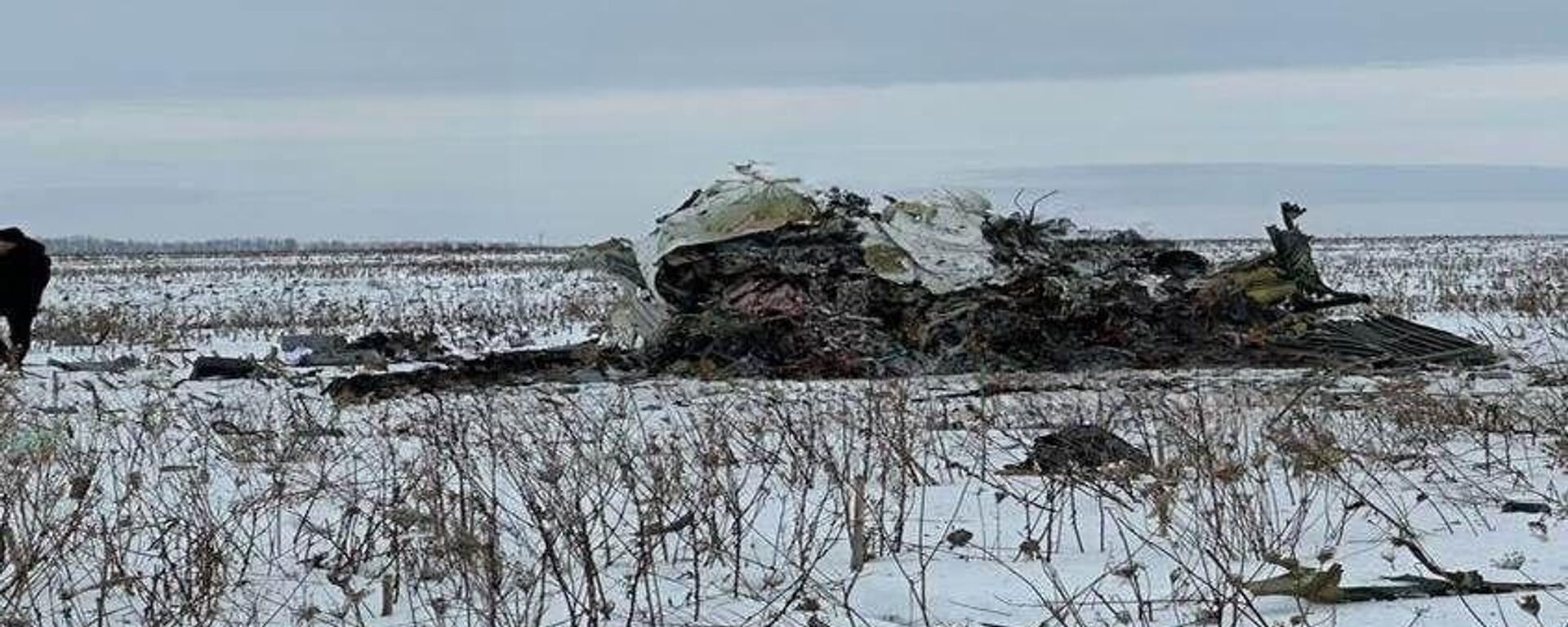 俄國防部：一架載有65名烏軍戰俘的運輸機在俄別爾哥羅德州墜毀 - 俄羅斯衛星通訊社, 1920, 24.01.2024