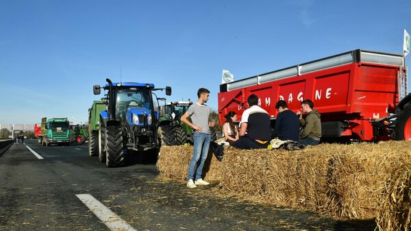 媒體：法國南部農民抗議者清空裝有進口農產品的卡車 - 俄羅斯衛星通訊社