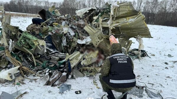 伊尔-76被击落事件感到愤怒  - 俄罗斯卫星通讯社