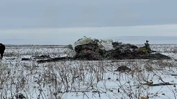 俄联邦侦查委员会： 在别尔哥罗德州击毁伊尔-76飞机导弹的发射点被确定 - 俄罗斯卫星通讯社