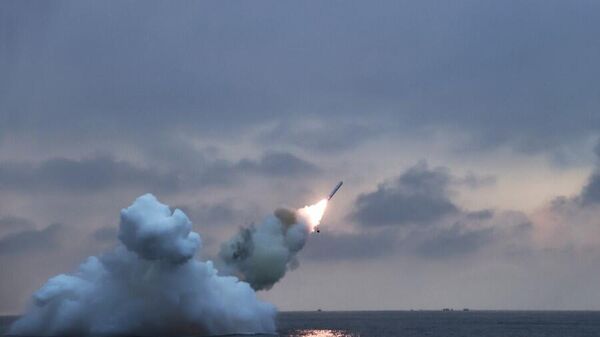 朝鲜向日本海方向发射一枚弹道导弹 - 俄罗斯卫星通讯社