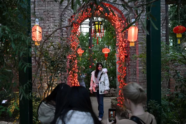 女孩們在莫斯科國立大學植物園“藥劑師花園”植物園散步。 女孩們在莫斯科國立大學植物園“藥劑師花園”植物園散步。 - 俄羅斯衛星通訊社