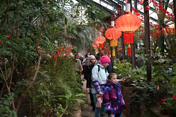 人們在莫斯科國立大學植物園“藥劑師花園”植物園散步。 人們在莫斯科國立大學植物園“藥劑師花園”植物園散步。 - 俄羅斯衛星通訊社