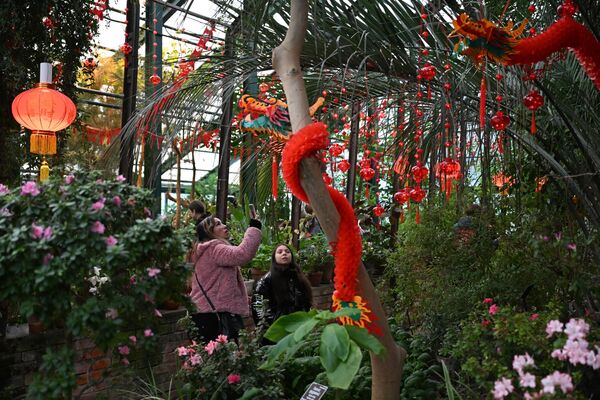 人們在莫斯科國立大學植物園“藥劑師花園”植物園散步。 - 俄羅斯衛星通訊社