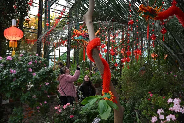 人們在莫斯科國立大學植物園“藥劑師花園”植物園散步。 人們在莫斯科國立大學植物園“藥劑師花園”植物園散步。 - 俄羅斯衛星通訊社