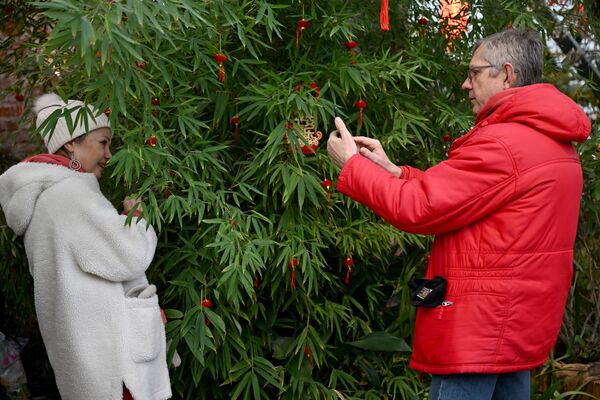 人们在莫斯科国立大学植物园“药剂师花园”植物园散步。 - 俄罗斯卫星通讯社