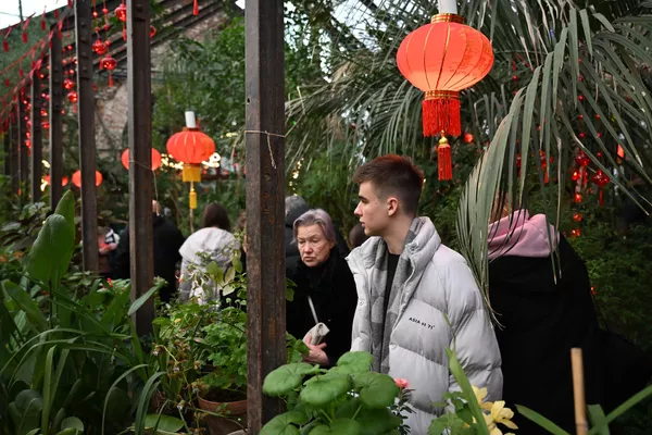 人們在莫斯科國立大學植物園“藥劑師花園”植物園散步。 人們在莫斯科國立大學植物園“藥劑師花園”植物園散步。 - 俄羅斯衛星通訊社