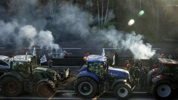 法国农民的抗议活动 - 俄罗斯卫星通讯社