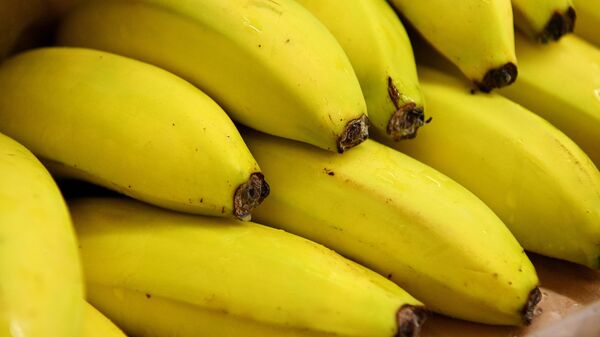 媒体：厄瓜多尔方面因对俄香蕉出口局势邀请俄方专家赴厄检查