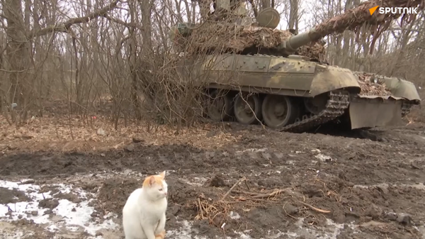俄“西部”集群T-80BV坦克组摧毁乌军阵地 - 俄罗斯卫星通讯社