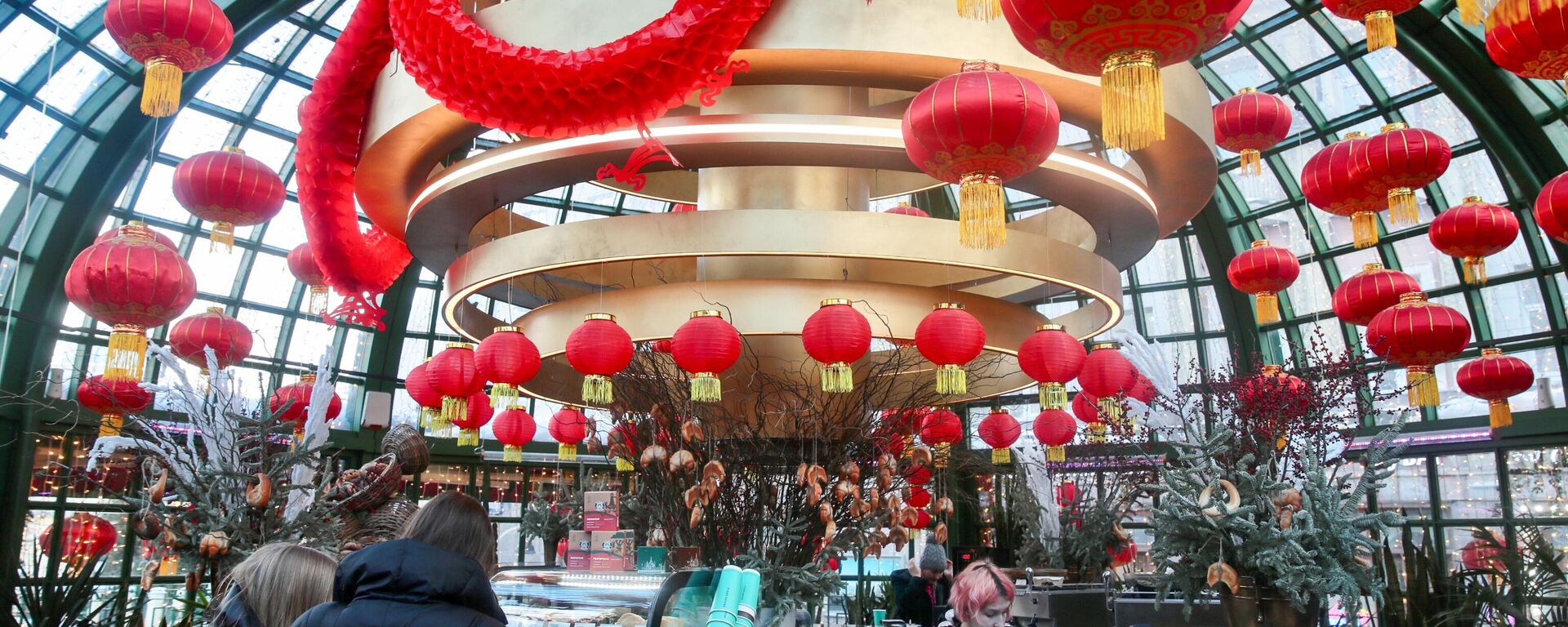 汉语和中国文化中心在莫斯科开幕 - 俄罗斯卫星通讯社, 1920, 24.02.2026