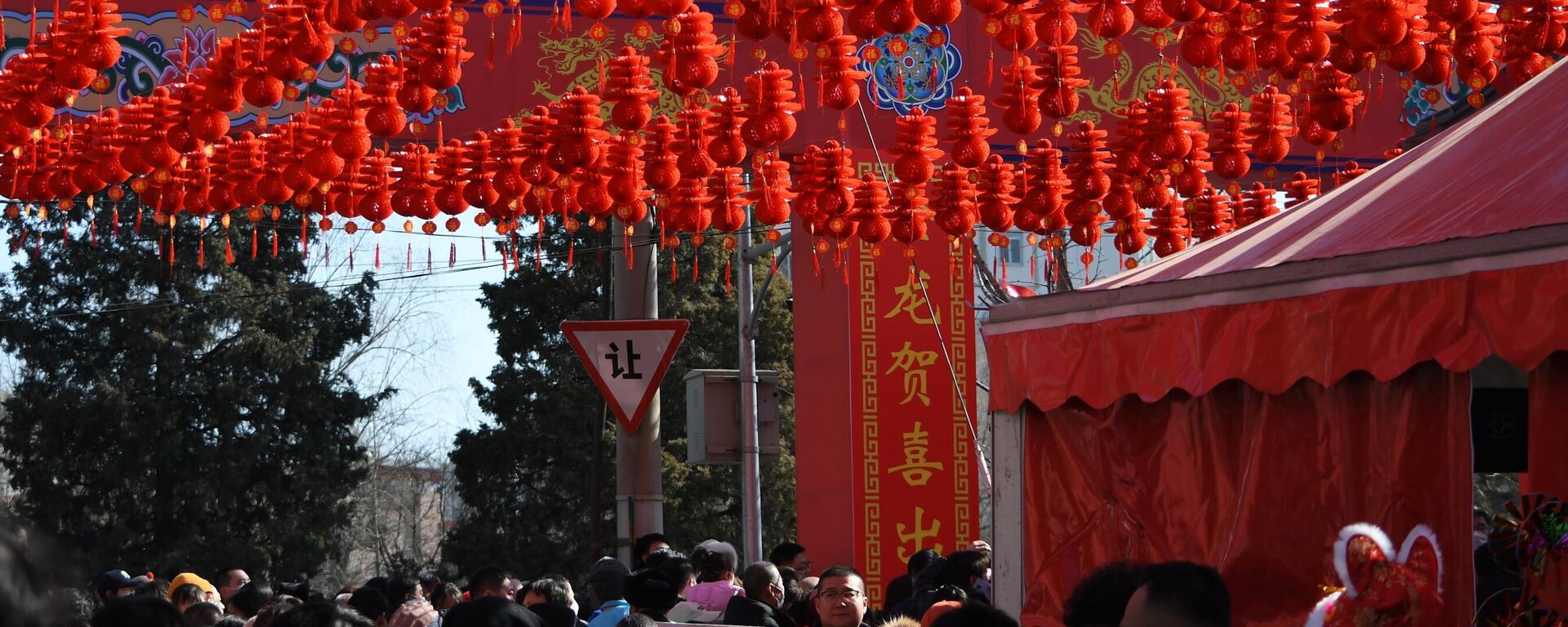 俄圣彼得堡将于2月5日至3月13日举办第十二届“欢乐春节”系列活动 - 俄罗斯卫星通讯社, 1920, 04.02.2026