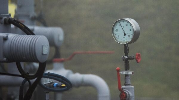 歐洲天然氣的交易所價格下降1.4%至每千立方米315.6美元 - 俄羅斯衛星通訊社