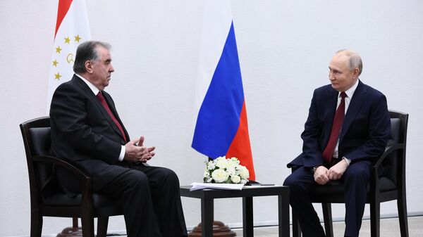 普京：俄罗斯与塔吉克斯坦的关系发展顺利 - 俄罗斯卫星通讯社