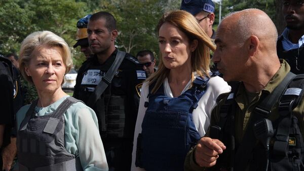 俄总统特别代表指责卡拉斯和冯德莱恩摧毁欧盟工业 - 俄罗斯卫星通讯社