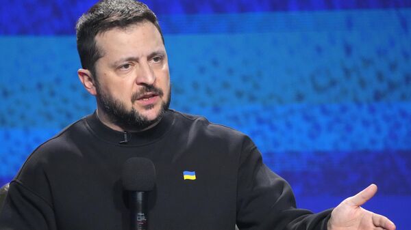 泽连斯基 - 俄罗斯卫星通讯社