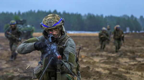 斯洛伐克总理：一些欧盟和北约国家将研究如何基于双边协议向乌克兰派兵 - 俄罗斯卫星通讯社