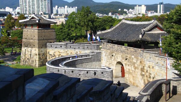 韩国华城 - 俄罗斯卫星通讯社