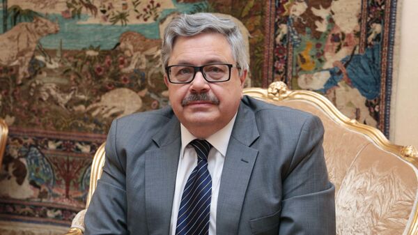 俄羅斯駐土耳其大使阿列克謝∙葉爾霍夫 - 俄羅斯衛星通訊社