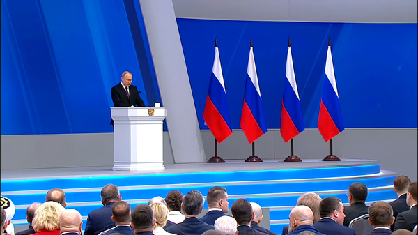 普京：战略稳定问题只能综合全面解决，要考虑俄罗斯的利益 - 俄罗斯卫星通讯社